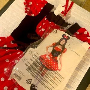 Miss Minnie Mouse Halloween costume L dress only